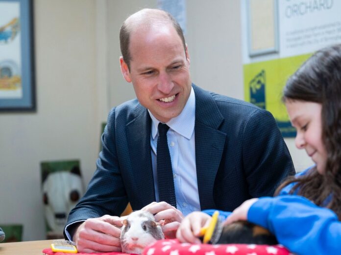 Prinz William hat am Donnerstag ein Meerschweinchen getroffen.